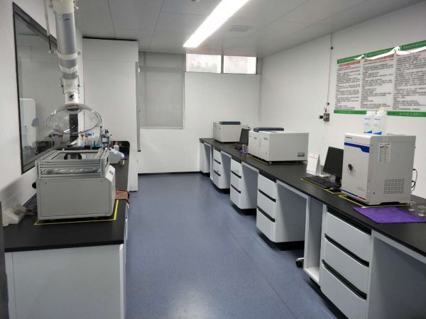 ×ðʱ¿Áú-Öйú¹Ù·½ÍøÕ¾