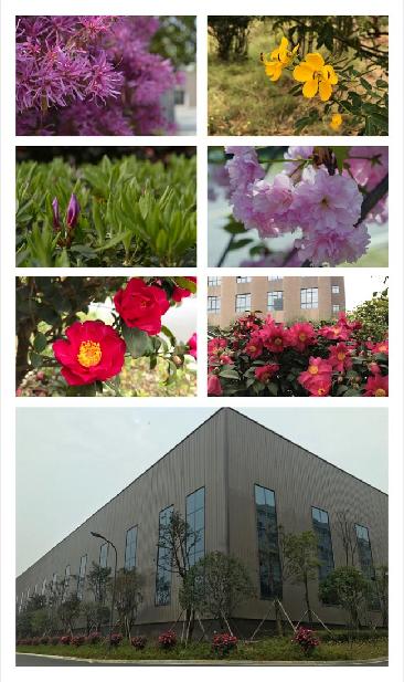 ��ʱ�������� 