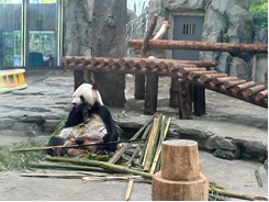 ��ʱ����-�й��ٷ���վ