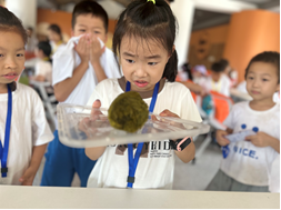 ��ʱ����-�й��ٷ���վ